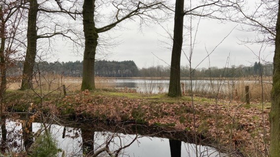 Grijze vrijdag met kans op motregen