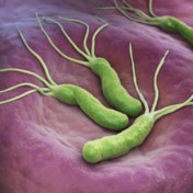 Hoe bacteriën kanker een handje helpen