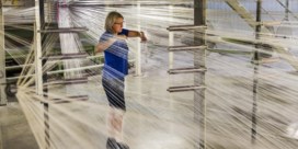 Bijna 300 banen bedreigd bij tapijtenmaker Balta