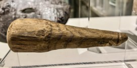 Archeologen vinden een Romeinse houten penis ‘met gebruikssporen’