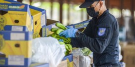 8,8 ton cocaïne met bestemming België in beslag genomen in Ecuador