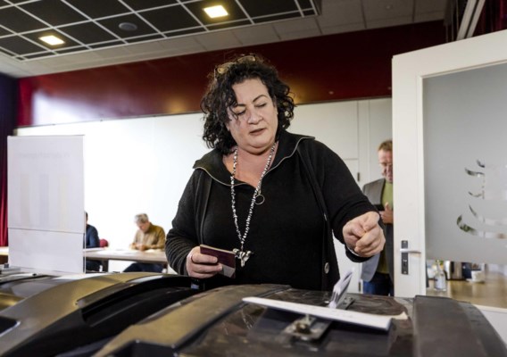 Голландская «Крестьянская партия» лишит всех дара речи на провинциальных выборах