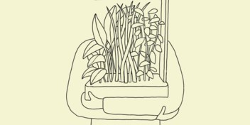 Van basilicum tot rucola: met een slimme binnentuin kweekt u elk type plant op een kot of appartement