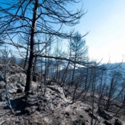 Eerste grote bosbrand van het jaar in Spanje