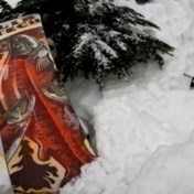 Skiër filmt hoe hij onder sneeuw bedolven snowboarder redt