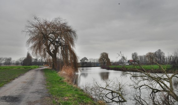 Zaterdag blijft grijs en regenachtig, zondag wordt zonniger