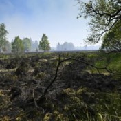 Brand Hoge Venen woedt nog steeds, maar is onder controle: ‘We moeten niet alarmistisch zijn’