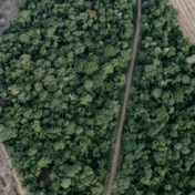 Amazone op kantelpunt: regenwoud is zelf een bron van koolstof geworden