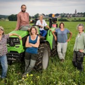 OCMW Leuven laat boeren perceel bewerken: ‘Alleen rijken kunnen nog grond kopen’