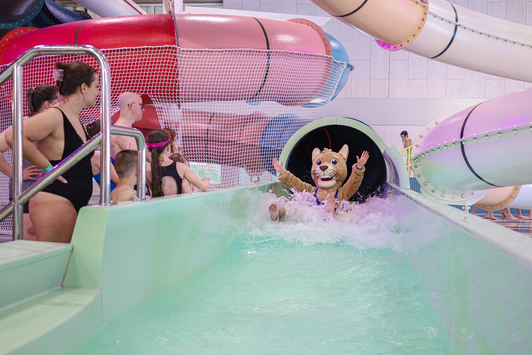 Speelparadijs Aquatopia weer goedkoper na kritiek (Aalst) De Standaard