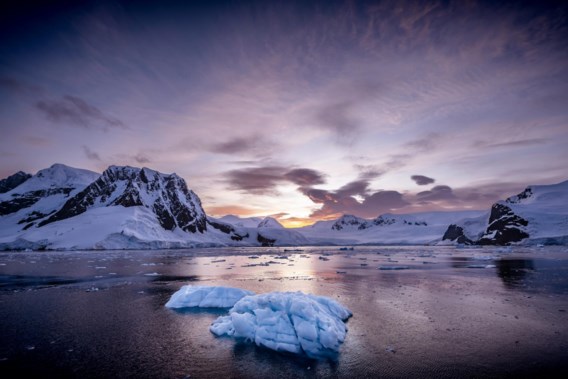 Hoe erg is het uitzonderlijk beperkte zee-ijs op de Zuidpool? | De