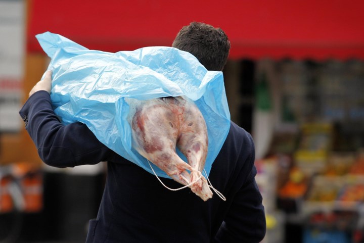 Senaat geeft dieren grondwettelijke bescherming