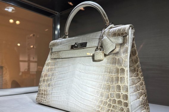 Record year for luxury group Hermès |  The standard