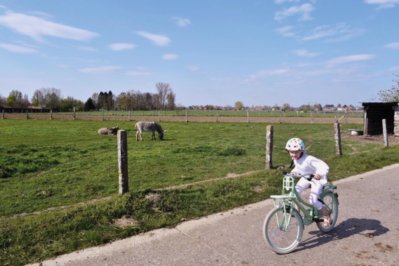 Mechelen sells 85 hectares of agricultural land to local farmers