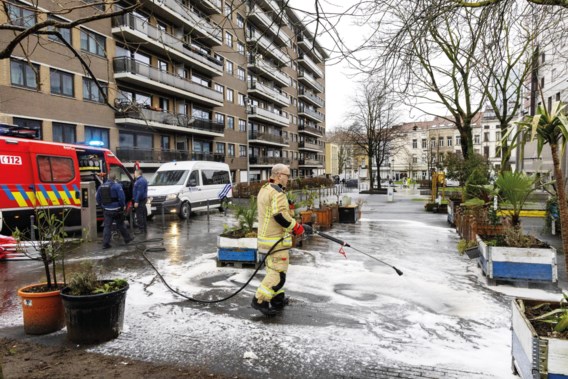 Drug violence is escalating, yet Brussels must wait for political action