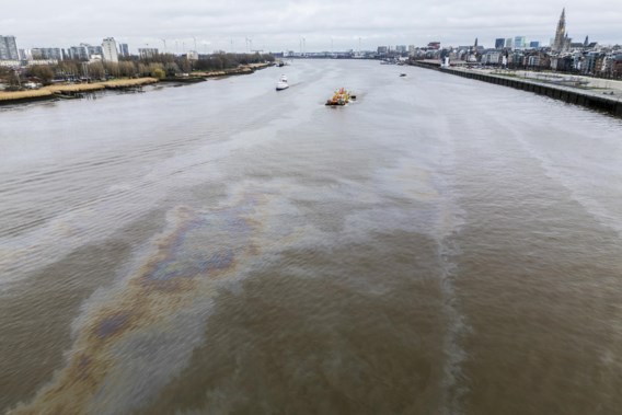 Clean-up work on a gigantic oil spill on the Scheldt has started, but the operation could take a long time