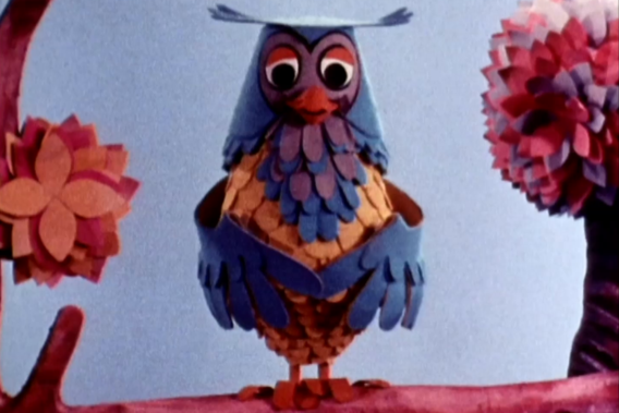 Mr. Owl warns people in their fifties: “Bowel cancer is not a myth”