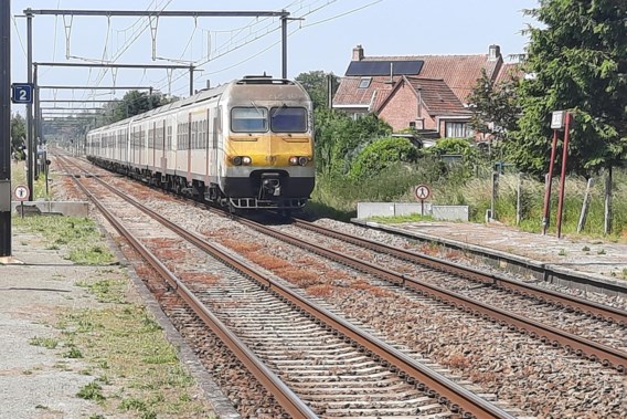 Train traffic interrupted by collision between train and rail crane in Belsele