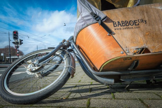 Cargo bike manufacturer Babboe is recalling 22,000 cargo bikes due to safety risks