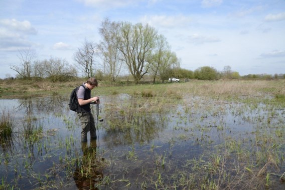 Working student Inbo sprayed with “pesticide” during bird count