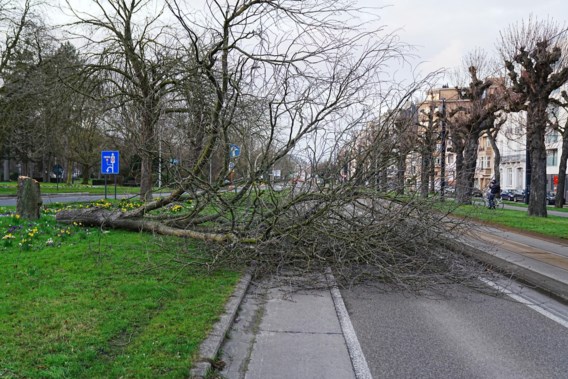 Code yellow: KMI warns of gusty winds, emergency number activated