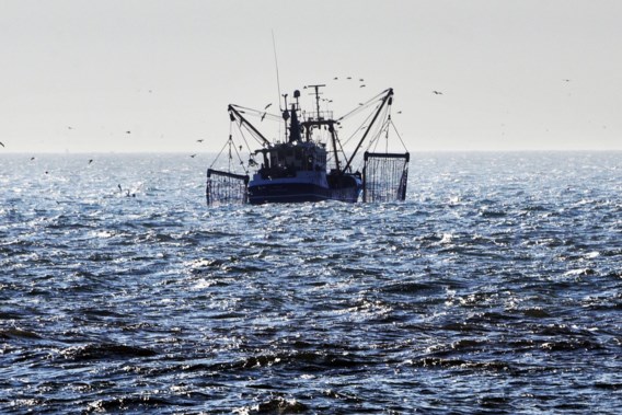 Five possible spy ships off the Belgian coast