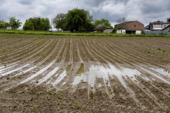 Farmers are running out of time due to persistent rain